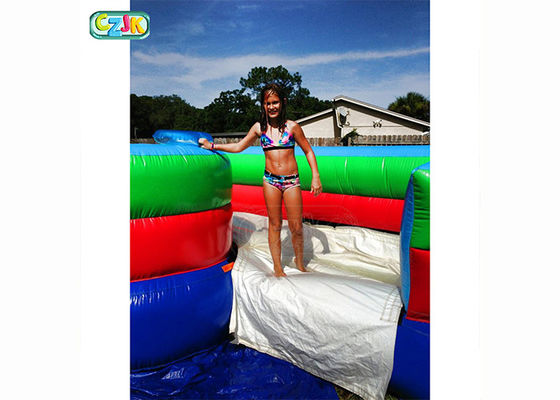 Playground Giant Inflatable Slide , Safe Inflatable Double Slide